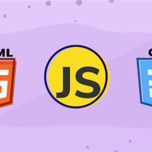 Programming in D: The Ultimate For Software Engineers
